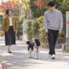 甥の洸太がリードを持つ8歳の愛犬ポルの散歩を、少し後ろから見守る63歳の芙美のイメージ