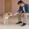 譲渡の面会室で丸椅子に座り、6歳の犬ハルが指先に鼻を寄せるのを見守る56歳の宗一のイメージ